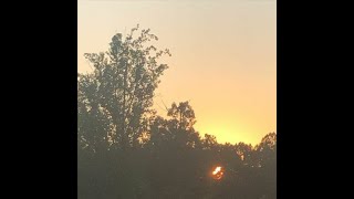 Cover art for 1234 w/ ericdoa and midwst