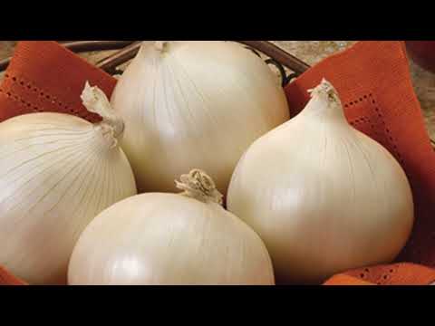 Consumer Trends - National Onion Association