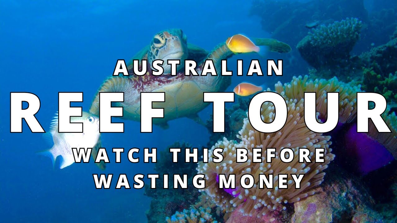 🏖️ Here are my favourite beach fishing spots in the Great Barrier Reef!
