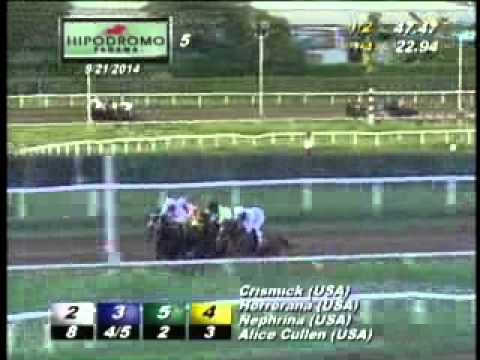 5TA CARRERA DEL DOMINGO 21 DE SEPTIEMBRE 2014 HPR