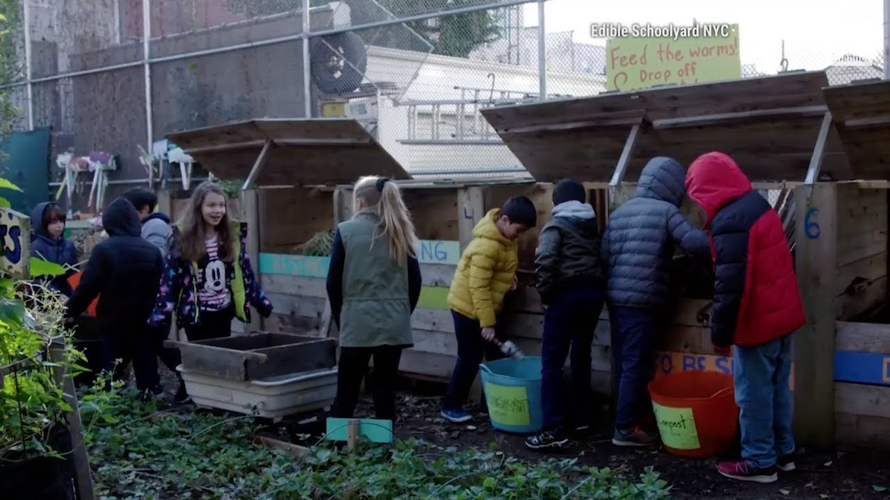The Edible Schoolyard Project | Education Earth