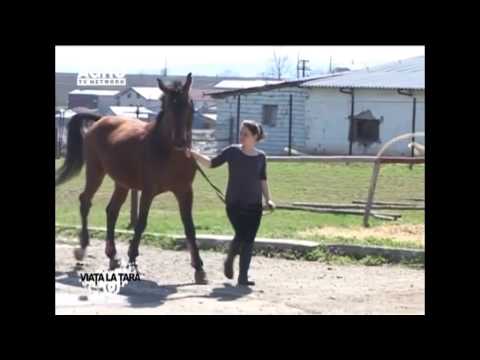 Liceul Agricol MIROSLAVA   ,,Fii elev in scoala mea,,