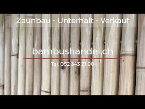 Bambuszaun Reinigung