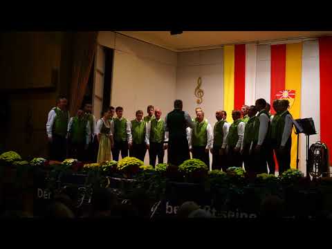 MGV Kaning | Livemitschnitt | In da Nocht | (2016)