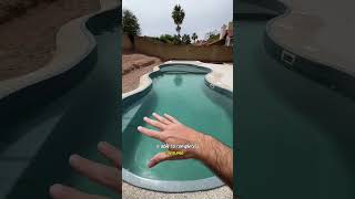 Day 21 living with a natural swimming pool