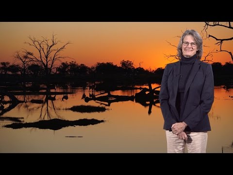 download lagu mp3 mp4 Elizabeth Hadly, download lagu Elizabeth Hadly gratis, unduh video klip Elizabeth Hadly
