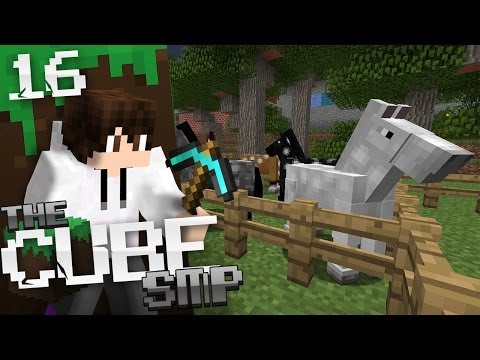 Minecraft Cube SMP: E16 - Horse Breeding