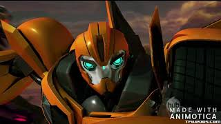 Bumblebee Transformers Prime- Noots Sum 41