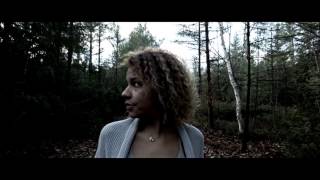 Like Animals - The Lion's Share