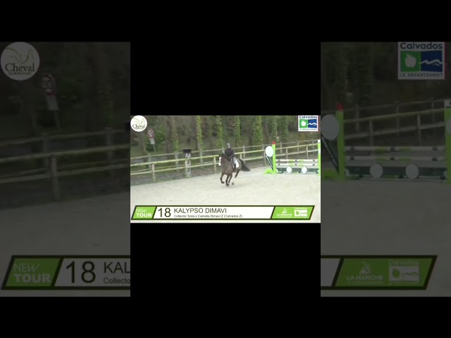 Tr&egrave;s jolie jument SF de 6 ans 