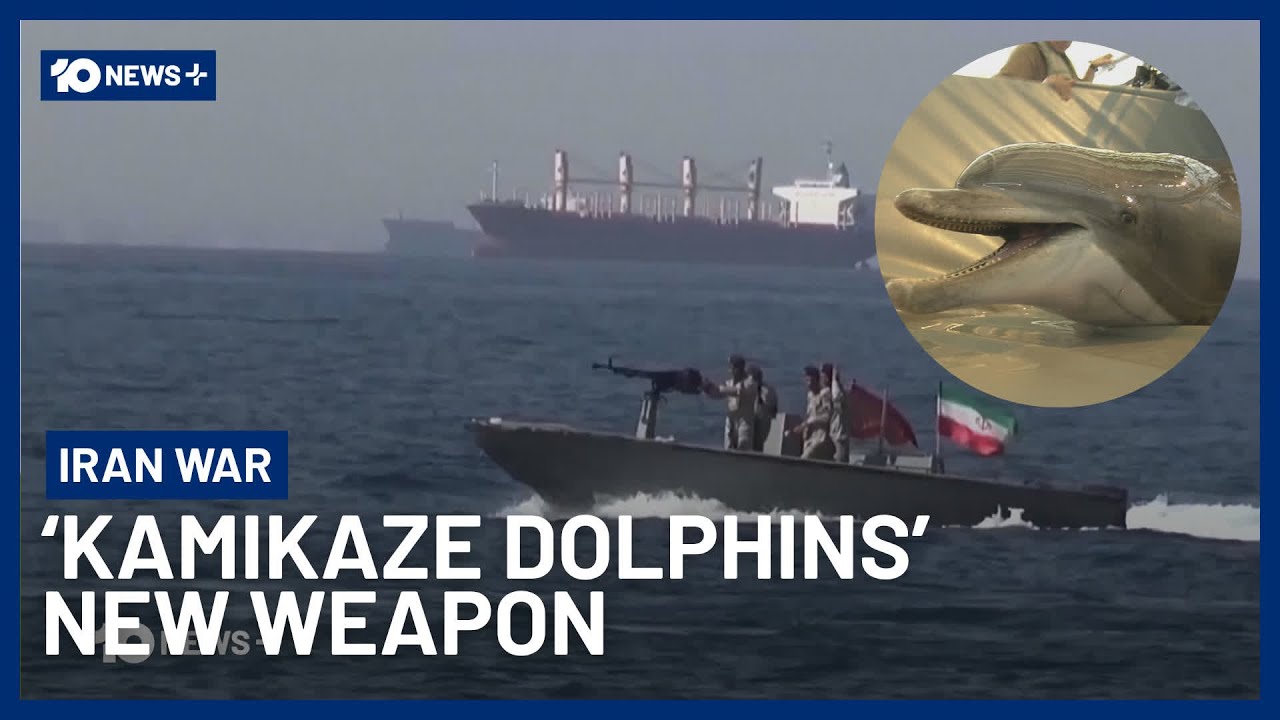 ‘Kamikaze Dolphins’ Slated As Iran’s Secret Weapon Against US | 10 News+