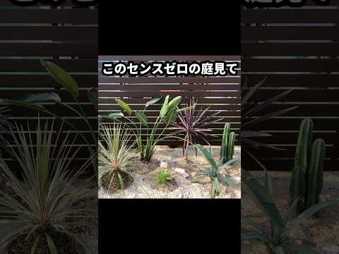 園芸 トラフのミニロックガーデン