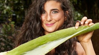 Aloë vera-geheimen! Veganistische doe-het-zelf huidverzorgingstips die je moet proberen