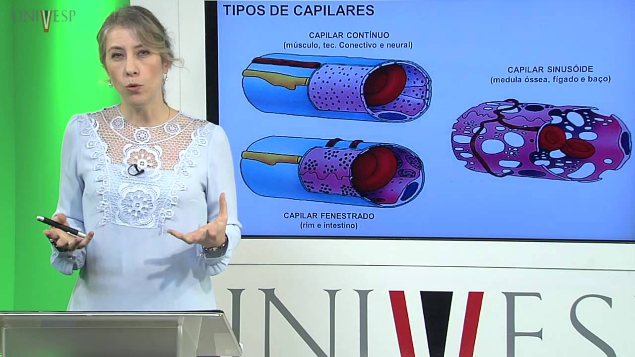 Corpo Humano: Órgãos e Sistemas - Aula 12 - Microcirculação e Sistema Linfático