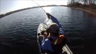 preview picture of video 'Huge Musky in a Kayak - Colin Belle'