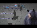 Tracking black bear sightings around Nashville, TN
