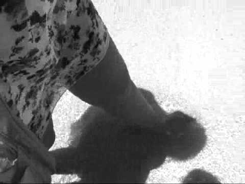 Brad Lyko - The Real Her Remix ( Official Music Video ) ( 2011 )