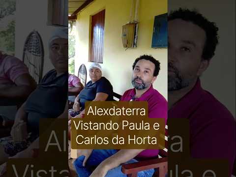 Horta de Verduras #plantas #agriculturaregenerativa #vidanaroça #sitio# alimentosuldavel