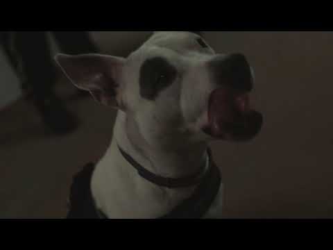 FVCK TONTEIN [TIRAERA] (ONE SHOT)🌶 - ADRIDEBARON #tiraera #rap