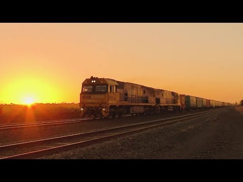 Pacific National Freight Train At Sunset - PoathTV Australian Railways