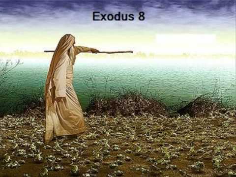 Exodus 8 (with text - press on more info. of video on the side)