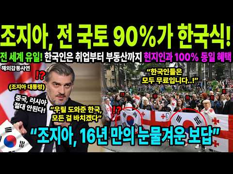 [해외감동사연] 대한민국이 조지아에 심은 15조 원의 기적! 전 국토를 한국 기술로 뒤덮은 충격적인 이유