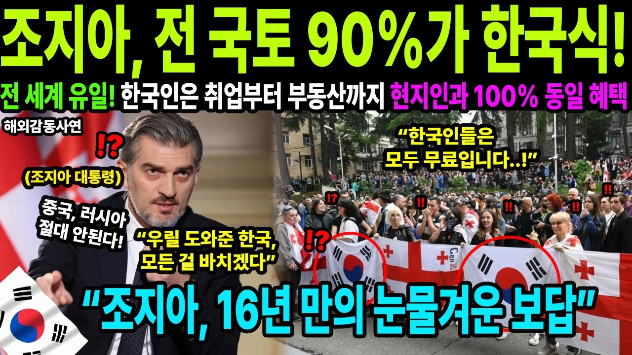 [해외감동사연] 대한민국이 조지아에 심은 15조 원의 기적! 전 국토를 한국 기술로 뒤덮은 충격적인 이유