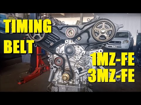 Timing Belt and Tensioner Toyota Lexus V6 3.0 liter 1MZ-FE/3.3 liter 3MZ-FE Camry Highlander RX300