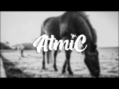 Jorge Guerrero - Petra narcisa 🎧🎧