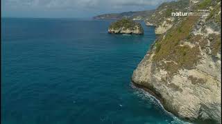 Stingray Naturescape 4K (June 20, 2025)