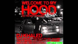 DJ Khaled Ft  Ludacris, T Pain, Busta Rhymes, Mavado, Twista, Birdman, Ace Hood, Fat Joe, Bun B, Game &amp; Waka Flocka Flame – Welcome To My Hood Official Remix