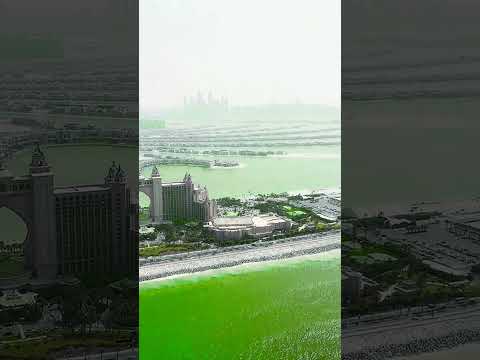 Beautiful 🥰  🌇  welcome 2 dubai #nature #subscribe #shorts