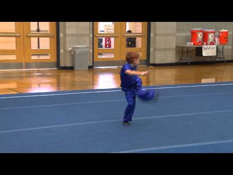 UWG 2013 - Group C M INT CQ - Ronald Kogan