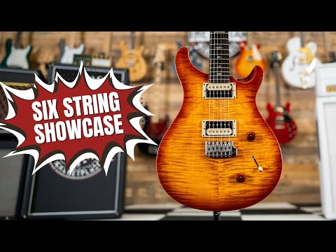 PRS SE Custom 22 with Tremolo 2009 Cherry Sunburst image 26