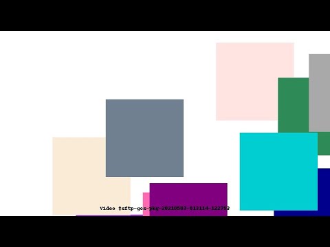 Video #sftp-gcs-pkg-20210503-013114-122793