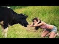 Dead Milkmen - Surfin' Cow