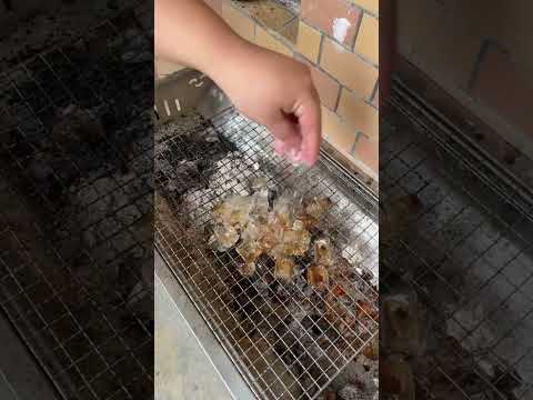 Asian Street Food GRILLED ICE #streetfood