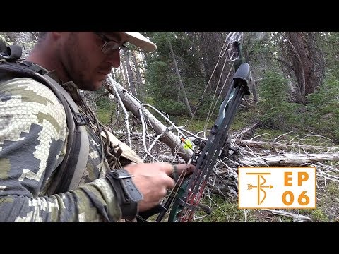 WYOMING ELK BOW HUNT | CALLS IN BIG BULL