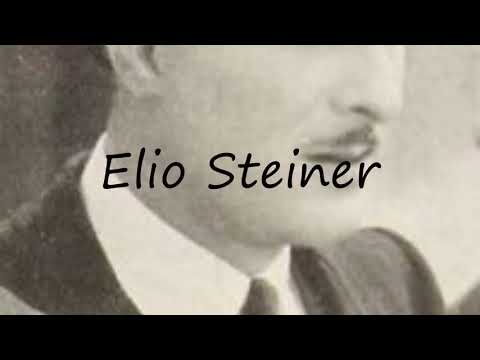 How to Pronounce Elio Steiner?