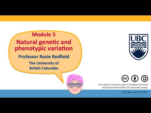 5E - Genes have small effects that are hard to find