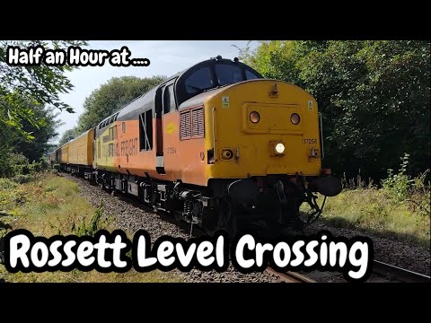 Half an Hour at (436) - Rossett Level Crossing 06.09.2023- Wrexham Chester Colas Transport for Wales