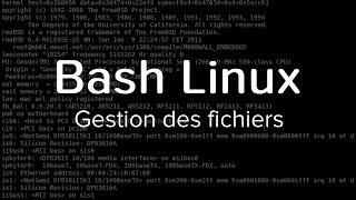 Bash Linux #1 - Gestion des fichiers