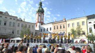 Šuba Duba Band - Pick up  the pieces