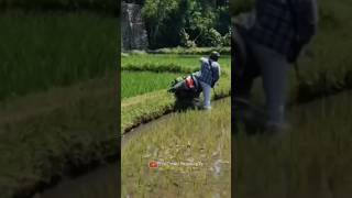 Download lagu DETIK-DETIK PEMOTOR NYEBUR KESAWAH🤣 mp3