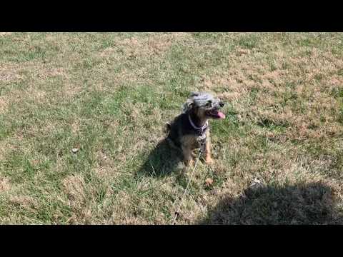 #Ryan #running #having a #great #time in the #sun 🌞