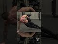 Ab Workout: Side Plank Hip Dip #shorts #vshred