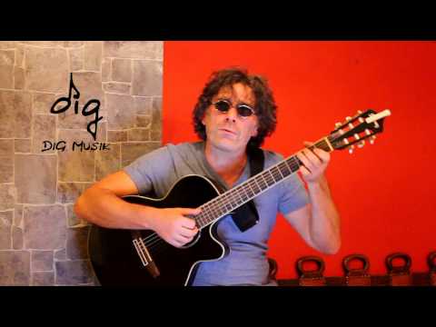 Einen Antrag auf Erteilung eines Antragsformulars - Reinhard Mey (DiG Guitar Cover)