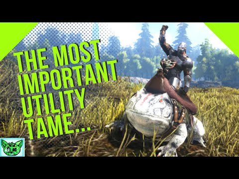 Building the Base, and High Level Beelzebufo Taming! Ep:5 ARK: Survival Evolved