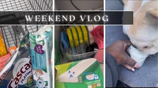 WEEKEND VLOG GROCERY SHOPPING, PRINCE FIRST PUP CUP, KITCHEN ORGANIZING | RUTH NANDA