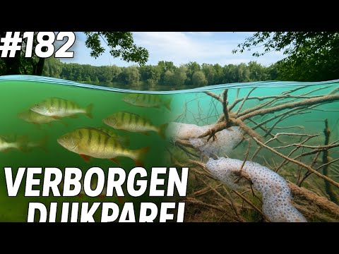 #182 Duiken bij Knooppunt Hooipolder Dit is de Nionplas